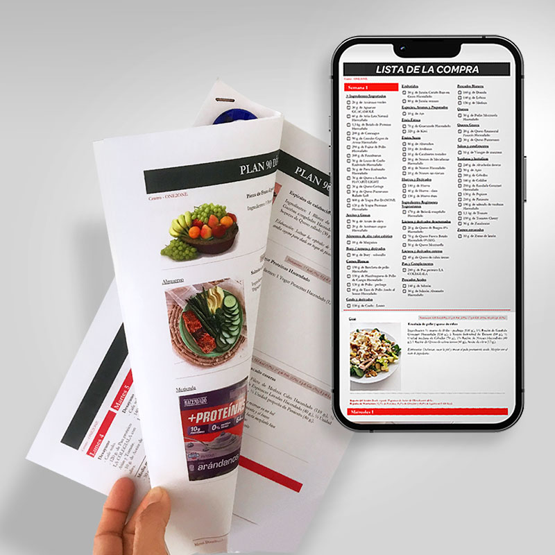 Plan de alimentación